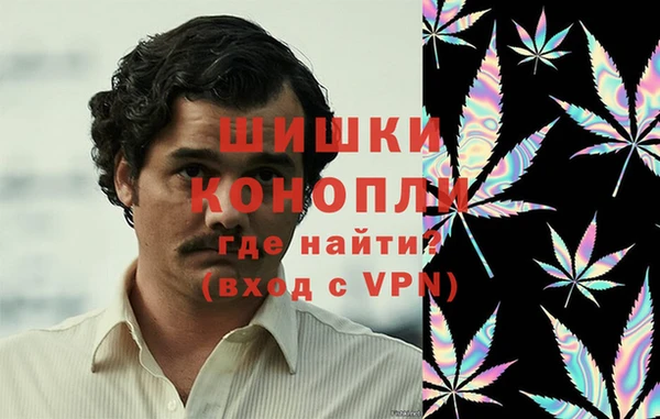 крисы Вязьма