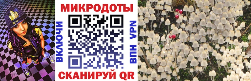 Галлюциногенные грибы MAGIC MUSHROOMS  сайты даркнета Telegram  Звенигород 